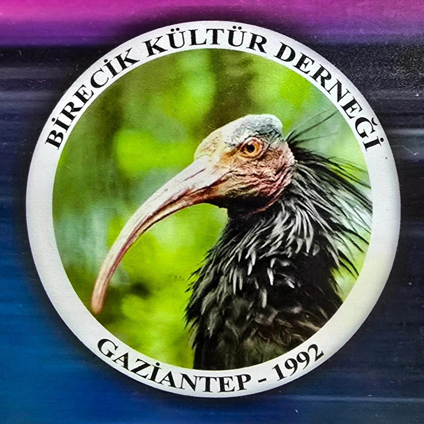 BİRECİKLİLER LOKALİ